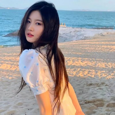 特警飞龙